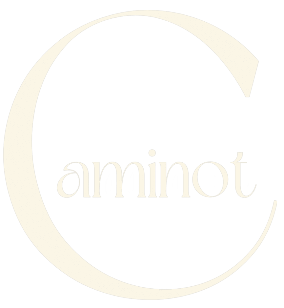 Caminot white trannsparent logo